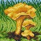 Needlepoint canvas for halfstitch without yarn Chanterelle 2202D - Printed Tapestry Canvas